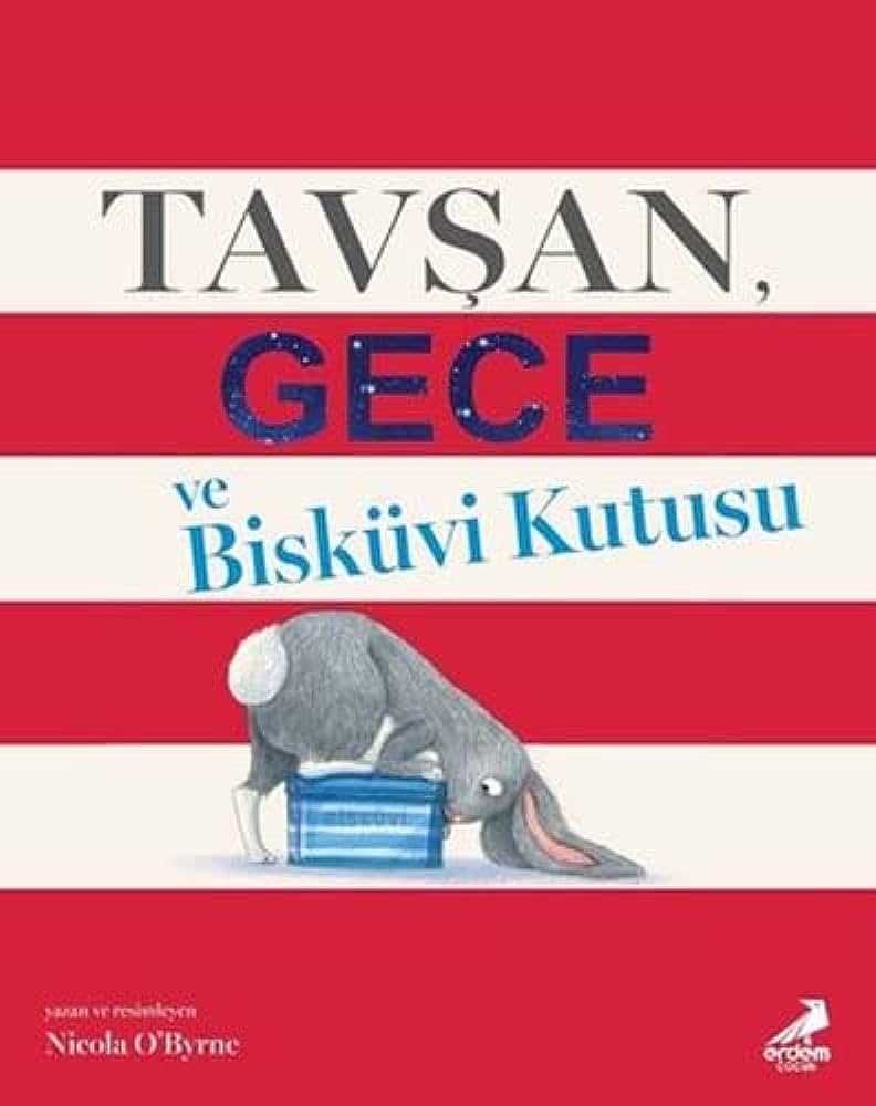 tavsan gece ve biskuvi kutusu