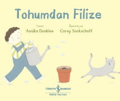 Tohumdan Filize