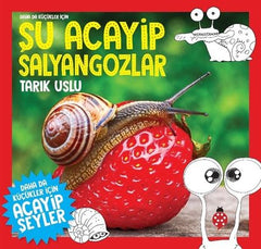 Daha da Kucukler Icin Su Acayip Salyangozlar