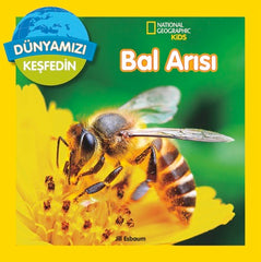 Bal Arisi