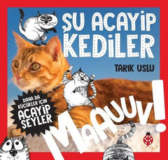 daha da kucukler icin su acayip kediler ozkan oze