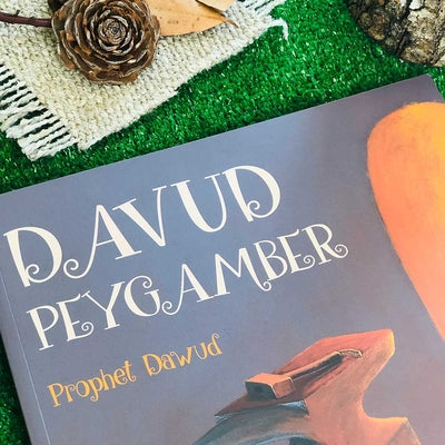 Davud Peygamber - Prophet David (Multibem Kitap)