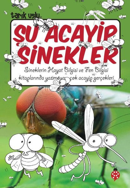 Su Acayip Sinekler