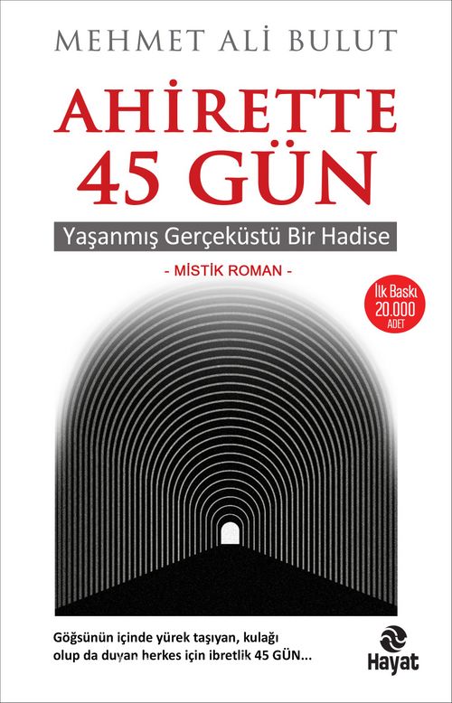 Ahirette 45 Gun